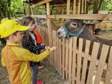 Prvňáčci na farmě