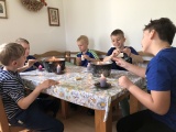 Obrázek v galerii