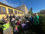 Obrázek v galerii