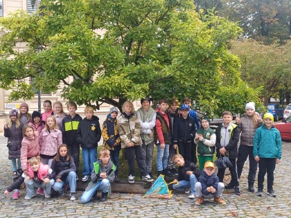 Obrázek v galerii