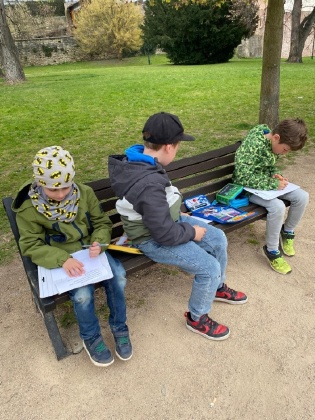 Obrázek v galerii