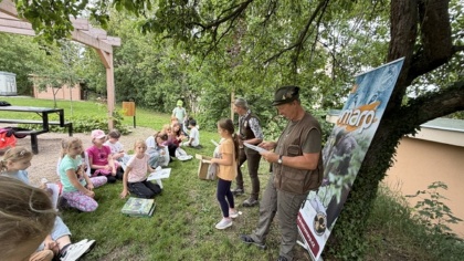 Obrázek v galerii