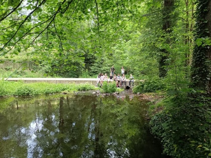 Obrázek v galerii