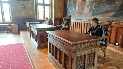 Obrázek v galerii