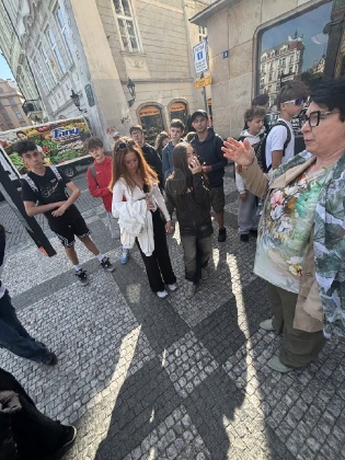 Obrázek v galerii