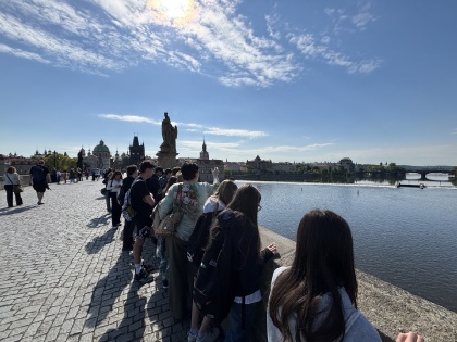 Obrázek v galerii