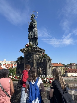 Obrázek v galerii