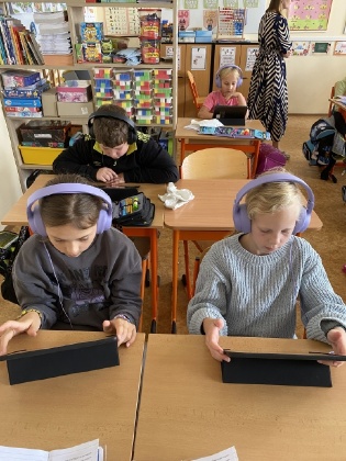 Obrázek v galerii