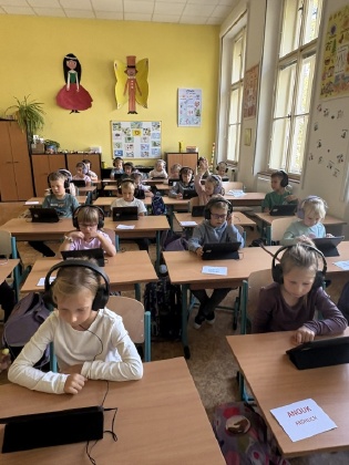 Obrázek v galerii