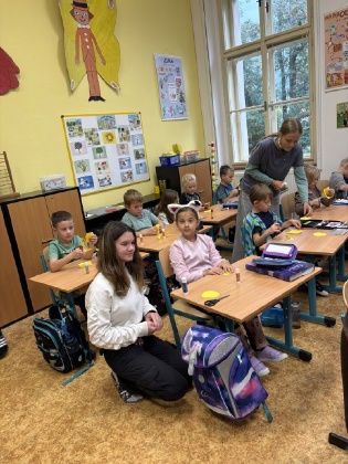 Obrázek v galerii