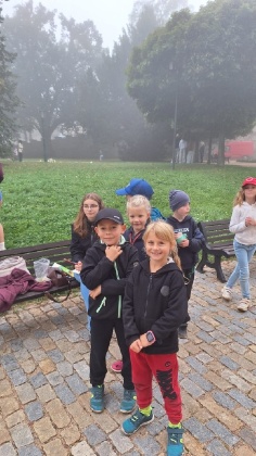 Obrázek v galerii