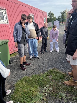 Obrázek v galerii
