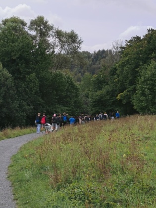 Obrázek v galerii