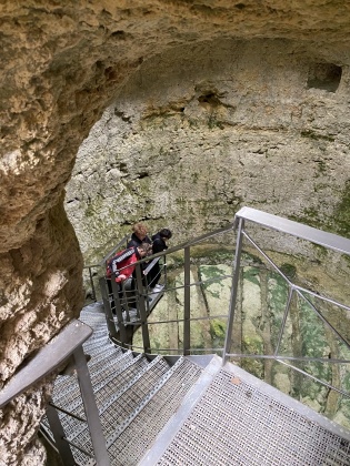 Obrázek v galerii