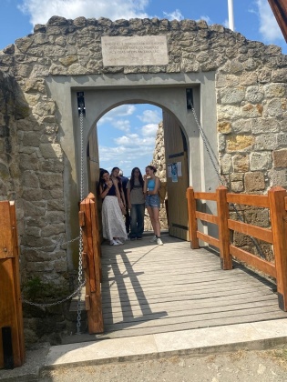 Obrázek v galerii