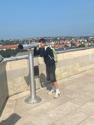 Obrázek v galerii