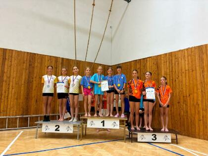 Obrázek v galerii