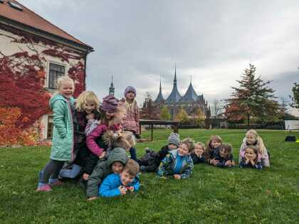 Obrázek v galerii