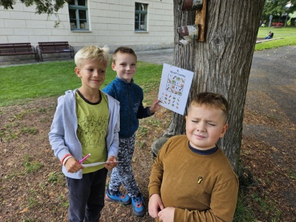 Obrázek v galerii