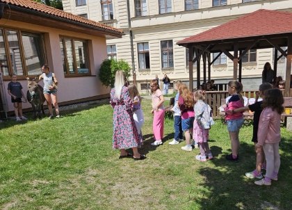Obrázek v galerii