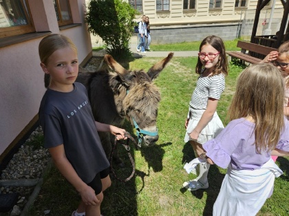 Obrázek v galerii