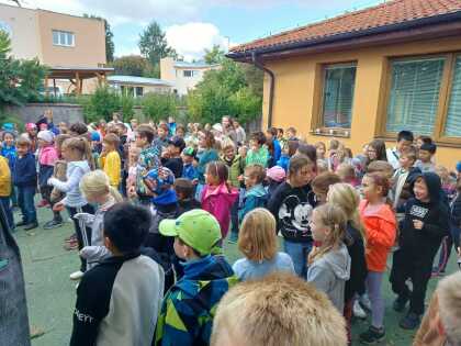 Obrázek v galerii