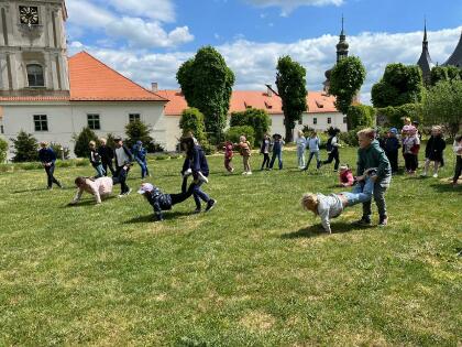 Obrázek v galerii
