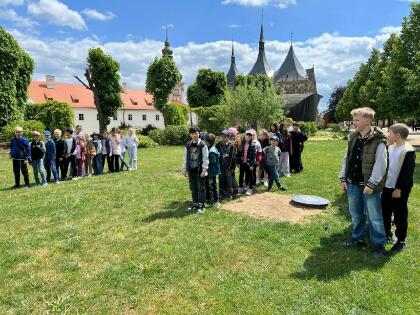 Obrázek v galerii