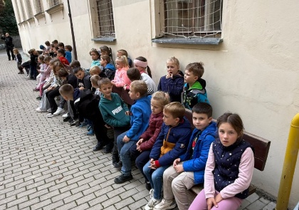 Obrázek v galerii